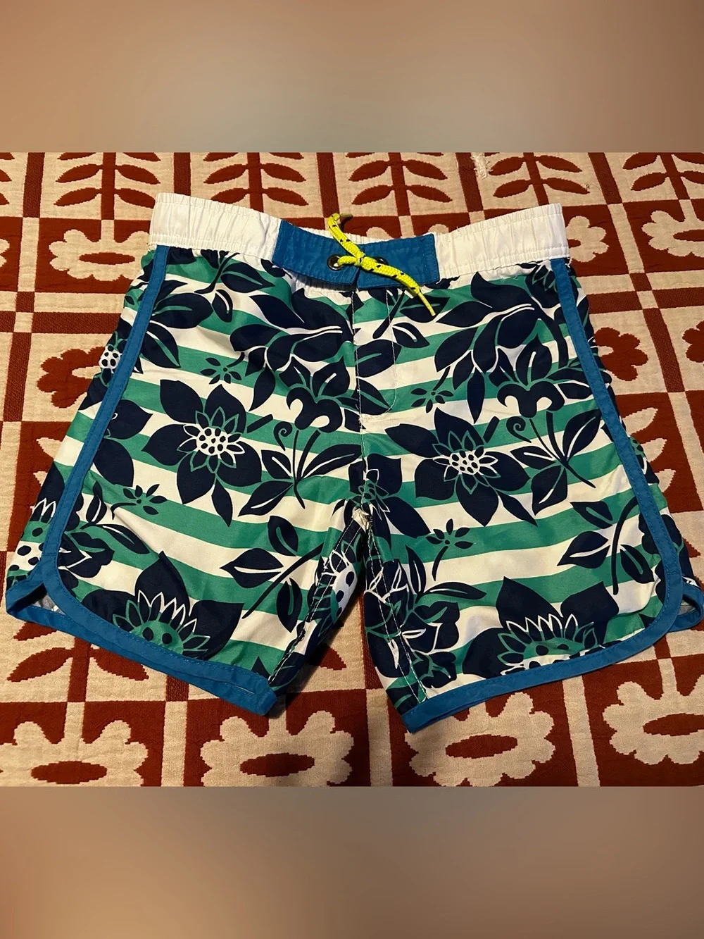 Mini Boden Art Class (Target) Boys’ Swim Lot (Size 9/10)